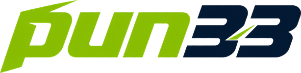 pun33